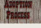 Adoption Process